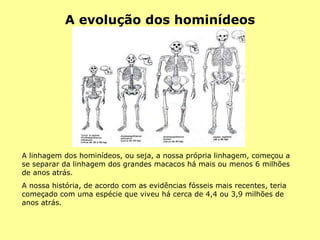 A evolução dos hominídeos A linhagem dos hominídeos, ou seja, a nossa própria linhagem, começou a se separar da linhagem dos grandes macacos há mais ou menos 6 milhões de anos atrás. A nossa história, de acordo com as evidências fósseis mais recentes, teria começado com uma espécie que viveu há cerca de 4,4 ou 3,9 milhões de anos atrás. 