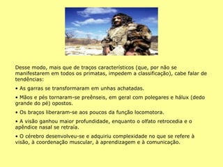 Desse modo, mais que de traços característicos (que, por não se manifestarem em todos os primatas, impedem a classificação), cabe falar de tendências: As garras se transformaram em unhas achatadas. Mãos e pés tornaram-se preênseis, em geral com polegares e hálux (dedo grande do pé) opostos. Os braços liberaram-se aos poucos da função locomotora. A visão ganhou maior profundidade, enquanto o olfato retrocedia e o apêndice nasal se retraía. O cérebro desenvolveu-se e adquiriu complexidade no que se refere à visão, à coordenação muscular, à aprendizagem e à comunicação. 