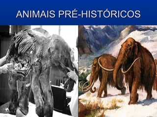 ANIMAIS PRÉ-HISTÓRICOS
 