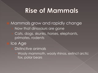    Mammals grow and rapidly change
    › Now that dinosaurs are gone
    › Cats, dogs, skunks, horses, elephants,
     primates, rodents
   Ice Age
    › Distinctive animals
       Wooly mammoth, wooly rhinos, extinct arctic
        fox, polar bears
 