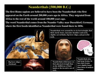Neanderthals [500,000 B.C.]
The first Homo sapiens are believed to have been the Neanderthals who first
appeared on the Earth around 200,000 years ago in Africa. They migrated from
Africa to the rest of the world around 100,000 years ago.
The word Neanderthal comes from the Neander Valley near Dusseldorf, Germany
where the first fossils identified as Neanderthal were found there in 1856.
Neanderthals were around five to six feet in height. Had
thick sturdy bones, muscular shoulders and necks,
slightly curved limbs, big brow ridges, and powerful
teeth.
Neanderthals also
had large brains. In
fact, their brains
were slightly larger
than those of modern
humans.
Neanderthals relied more on
their physical strength than
on the skillful use of their
hands or the inventive use of
tools.
Big brow ridges
(forehead)
 