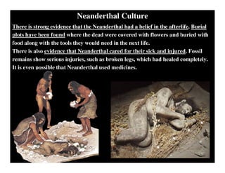 Neanderthal Culture
There is strong evidence that the Neanderthal had a belief in the afterlife. Burial
plots have been found where the dead were covered with flowers and buried with
food along with the tools they would need in the next life.
There is also evidence that Neanderthal cared for their sick and injured. Fossil
remains show serious injuries, such as broken legs, which had healed completely.
It is even possible that Neanderthal used medicines.
 