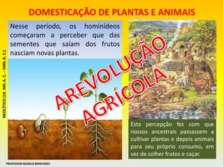 Nesse período, os hominídeos
começaram a perceber que das
sementes que saíam dos frutos
nasciam novas plantas.
Esta percepção fez com que
nossos ancestrais passassem a
cultivar plantas e depois animais
para seu próprio consumo, em
vez de colher frutos e caçar.
DOMESTICAÇÃO DE PLANTAS E ANIMAIS
NEOLÍTICO(10.MILA.C.–5MILA.C.)
PROFESSOR MURILO BENEVIDES
 