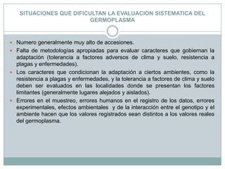 SITUACIONES QUE DIFICULTAN LA EVALUACION SISTEMATICA DEL GERMOPLASMANumero generalmente muy alto de accesiones.Falta de metodologías apropiadas para evaluar caracteres que gobiernan la adaptación (tolerancia a factores adversos de clima y suelo, resistencia a plagas y enfermedades).Los caracteres que condicionan la adaptación a ciertos ambientes, como la resistencia a plagas y enfermedades, y la tolerancia a factores de clima y suelo deben ser evaluados en las localidades donde se presentan los factores limitantes (generalmente lugares alejados y aislados).Errores en el muestreo, errores humanos en el registro de los datos, errores experimentales, efectos ambientales  y de la interacción entre el genotipo y el ambiente hacen que los valores registrados sean distintos a los valores reales del germoplasma. 