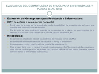 EVALUACION DEL GERMOPLASMA DE FRIJOL PARA ENFERMEDADES Y PLAGAS (CIAT, 1982)Evaluación del Germoplasma para Resistencia a Enfermedades:CIAT, da énfasis a la resistencia horizontal.En el caso de la roya se ha encontrado mucha inestabilidad de la resistencia, así como una considerable interacción con localidades.Por lo tanto se están evaluando además de la reacción de la planta, los componentes de la resistencia horizontal como tamaño de la pústula, periodo de latencia, etc.Metodología:En campo con infestación natural, caso del virus del mosaico común (BCMV).En campo con inoculación artificial, para evaluar la roya y la antracnosisEn invernadero con inoculación artificial, para la Bacteriosis común.Para el caso de la roya, y  para el virus del mosaico dorado, CIAT ha organizado la evaluación a nivel internacional en pruebas especiales denominadas IBRN e IBGMV respectivamente, que se conduce donde la enfermedad es endémica.
