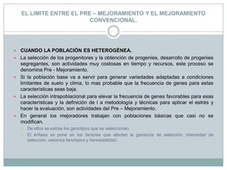 EL LIMITE ENTRE EL PRE – MEJORAMIENTO Y EL MEJORAMIENTO CONVENCIONAL.CUANDO LA POBLACIÓN ES HETEROGÉNEA. La selección de los progenitores y la obtención de progenies, desarrollo de progenies segregantes, son actividades muy costosas en tiempo y recursos, este proceso se denomina Pre - Mejoramiento.Si la población base va a servir para generar variedades adaptadas a condiciones limitantes de suelo y clima, lo mas probable que la frecuencia de genes para estas características seas baja.La selección intrapoblacional para elevar la frecuencia de genes favorables para esas características y la definición de l a metodología y técnicas para aplicar el estrés y hacer la evaluación, son actividades del Pre – Mejoramiento.En general los mejoradores trabajan con poblaciones básicas que casi no se modifican. De ellos se extrae los genotipos que se seleccionan. El énfasis se pone en los factores que afectan la ganancia de selección: intensidad de selección, varianza fenotípica y heredabilidad.