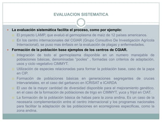 EVALUACION SISTEMATICALa evaluación sistemática facilita el proceso, como por ejemplo:El proyecto LAMP, que evaluó el germoplasma de maíz de 12 países americanos. En los centro internacionales del CGIAR (Grupo Consultivo De Investigación Agrícola Internacional). se puso mas énfasis en la evaluación de plagas y enfermedades.Formación de la población base ejemplos de los centros de CGIAR.Integración de todo el germoplasma disponible en un numero manejable de poblaciones básicas, denominadas “pooles” , formadas con criterios de adaptación, usos y ciclo vegetativo CIMMYT.Utilización de especies relacionadas para formar la población base, caso de la papa en CIP.Formación de poblaciones básicas en generaciones segregantes de cruces intervarietales, en el caso del garbanzo en ICRISAT e ICARDAEl uso de la mayor cantidad de diversidad disponible para el mejoramiento genético, en el caso de la formación de poblaciones de trigo en CIMMYT, yuca y frijol en CIAT.La formación de la población básica de habas para la zona andina. Es un caso de la necesaria complementación entre el centro internacional y los programas nacionales para facilitar la adaptación de las poblaciones en ecorregiones especificas, como la zona andina.