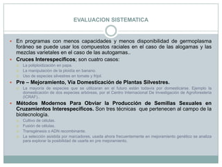 EVALUACION SISTEMATICAEn programas con menos capacidades y menos disponibilidad de germoplasma foráneo se puede usar los compuestos raciales en el caso de las alogamas y las mezclas varietales en el caso de las autogamas..Cruces Interespecificos; son cuatro casos:La poliploidización en papa.La manipulación de la ploidía en banano.Uso de especies silvestres en tomate y frijol.Pre – Mejoramiento, Vía Domesticación de Plantas Silvestres.La mayoría de especies que se utilizaran en el futuro están todavía por domesticarse. Ejemplo la domesticación de dos especies arbóreas, por el Centro Internacional De Investigación de Agroforesteria (ICRAF)..Métodos Modernos Para Obviar la Producción de Semillas Sexuales en Cruzamientos Interespecificos. Son tres técnicas  que pertenecen al campo de la biotecnología.Cultivo de células.Fusión de células.Transgénesis o ADN recombinante.La selección asistida por marcadores, usada ahora frecuentemente en mejoramiento genético se analiza para explorar la posibilidad de usarla en pre mejoramiento.
