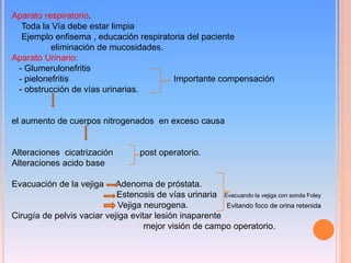 Aparato respiratorio.
Toda la Vía debe estar limpia
Ejemplo enfisema , educación respiratoria del paciente
eliminación de mucosidades.
Aparato Urinario:
- Glumerulonefritis
- pielonefritis Importante compensación
- obstrucción de vías urinarias.
el aumento de cuerpos nitrogenados en exceso causa
Alteraciones cicatrización post operatorio.
Alteraciones acido base
Evacuación de la vejiga Adenoma de próstata.
Estenosis de vías urinaria Evacuando la vejiga con sonda Foley
Vejiga neurogena. Evitando foco de orina retenida
Cirugía de pelvis vaciar vejiga evitar lesión inaparente
mejor visión de campo operatorio.
 