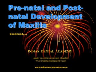 Pre-natal and Post-
natal Development
of Maxilla
Continued…..
INDIAN DENTAL ACADEMY
Leader in continuing dental education
www.indiandentalacademy.com
www.indiandentalacademy.com
 