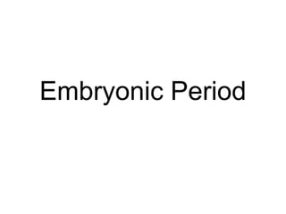 Embryonic Period
 
