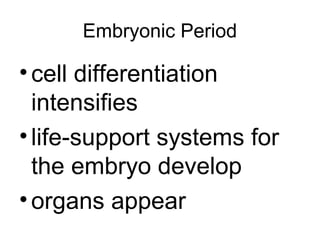 Embryonic Period
•cell differentiation
intensifies
•life-support systems for
the embryo develop
•organs appear
 