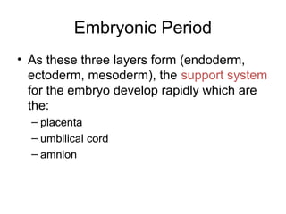 Embryonic Period
• As these three layers form (endoderm,
ectoderm, mesoderm), the support system
for the embryo develop rapidly which are
the:
– placenta
– umbilical cord
– amnion
 