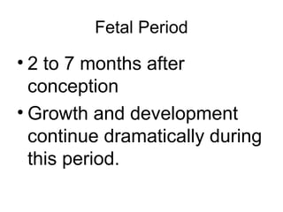 Fetal Period
• 2 to 7 months after
conception
• Growth and development
continue dramatically during
this period.
 