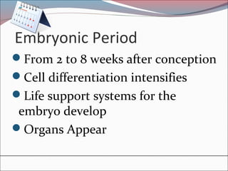 Embryonic Period
From 2 to 8 weeks after conception
Cell differentiation intensifies
Life support systems for the
embryo develop
Organs Appear
 
