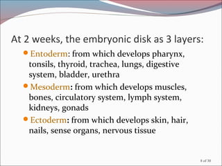 8 of 30
At 2 weeks, the embryonic disk as 3 layers:
Entoderm: from which develops pharynx,
tonsils, thyroid, trachea, lungs, digestive
system, bladder, urethra
Mesoderm: from which develops muscles,
bones, circulatory system, lymph system,
kidneys, gonads
Ectoderm: from which develops skin, hair,
nails, sense organs, nervous tissue
 