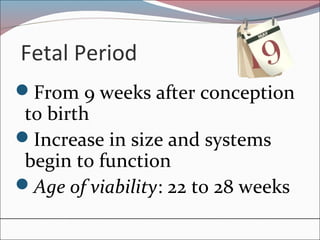Fetal Period
From 9 weeks after conception
to birth
Increase in size and systems
begin to function
Age of viability: 22 to 28 weeks
 