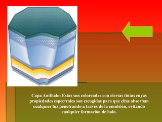 Capa Antihalo: Estas son coloreadas con ciertas tintas cuyas
propiedades espectrales son escogidas para que ellas absorban
cualquier luz penetrando a través de la emulsión, evitando
cualquier formación de halo.
 