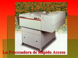 La Procesadora de Rápido Acceso
 