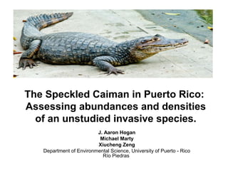 The Speckled Caiman in Puerto Rico:
Assessing abundances and densities
of an unstudied invasive species.
J. Aaron Hogan
Michael Marty
Xiucheng Zeng
Department of Environmental Science, University of Puerto - Rico
Río Piedras

 