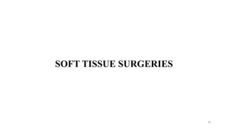 SOFT TISSUE SURGERIES
28
 