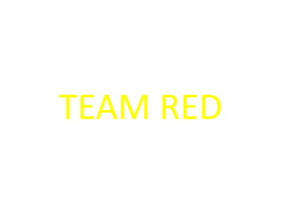 TEAM RED 