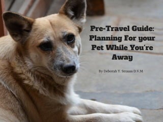 Pre travel guide- planning for your pet while you're away
