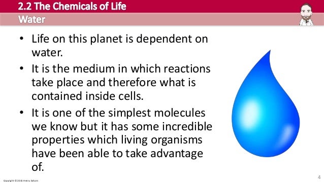 4 life of chemicals Chemicals Biology Life Cambridge 2.2   U Pre of