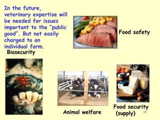 In the future,
veterinary expertise will
be needed for issues
important to the “public
good”. But not easily
charged to an
individual farm.
Biosecurity

Animal welfare

Food safety

Food security
(supply) 15

 