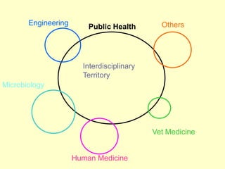 Engineering

Public Health

Others

Interdisciplinary
Territory
Microbiology

Vet Medicine

Human Medicine

 