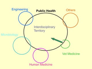 Engineering

Public Health

Others

Interdisciplinary
Territory
Microbiology

Vet Medicine

Human Medicine

 