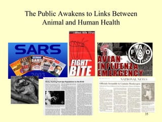 The Public Awakens to Links Between
Animal and Human Health

35

 