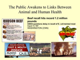 The Public Awakens to Links Between
Animal and Human Health
Beef recall hits record 1.2 million
pounds
USDA questions delay in recall of E. coli-tainted meat
August 15, 1997

WASHINGTON (CNN)

36

 
