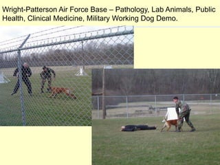 Wright-Patterson Air Force Base – Pathology, Lab Animals, Public
Health, Clinical Medicine, Military Working Dog Demo.

 