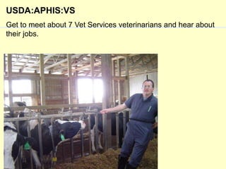USDA:APHIS:VS
Get to meet about 7 Vet Services veterinarians and hear about
their jobs.

 