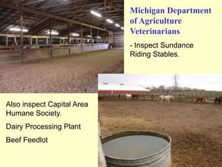 Michigan Department
of Agriculture
Veterinarians
- Inspect Sundance
Riding Stables.

Also inspect Capital Area
Humane Society.
Dairy Processing Plant

Beef Feedlot

 