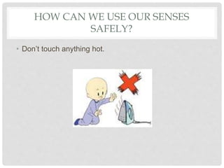 HOW CAN WE USE OUR SENSES
SAFELY?
• Don’t touch anything hot.
 