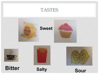 TASTES
Sweet
SaltyBitter Sour
 