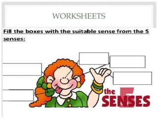 WORKSHEETS
 