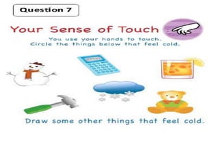  How do we use our senses?