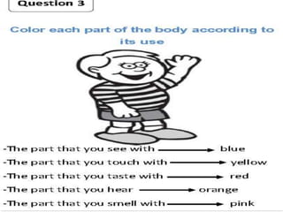  How do we use our senses?