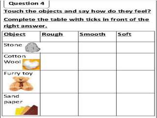  How do we use our senses?