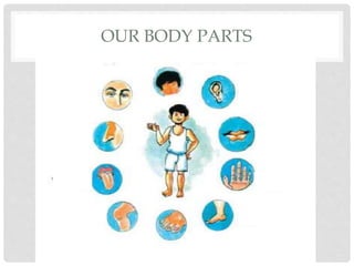 OUR BODY PARTS
 