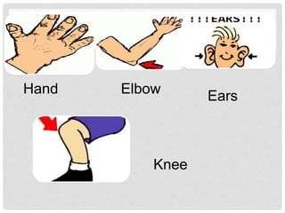 Hand Elbow
Knee
Ears
 
