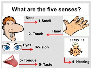 What are the five senses?
1-Smell
Nose
2- Touch
Hand
Eyes
3-Vision
4- Hearing5- Tongue
5- Taste
 