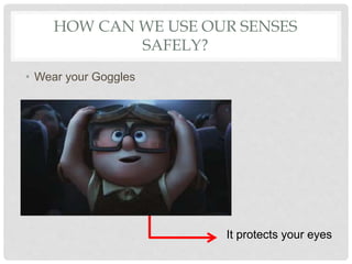 HOW CAN WE USE OUR SENSES
SAFELY?
• Wear your Goggles
It protects your eyes
 