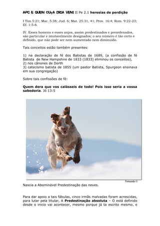 Apc E quem ouça diga vem! II Pe 2.1 heresias de perdição
I Tim.5:21; Mar. 5:38; Jud. 6; Mat. 25:31, 41; Prov. 16:4; Rom. 9:22-23;
Ef. 1:5-6.
IV. Esses homens e esses anjos, assim predestinados e preordenados,
são particular e imutavelmente designados; o seu número é tão certo e
definido, que não pode ser nem aumentado nem diminuído.
Tais conceitos estão também presentes:
1) na declaração de fé dos Batistas de 1689, (a confissão de fé
Batista de New Hampshire de 1833 (1833) eliminou os conceitos),
2) nos cânones de Dorth
3) catecismo batista de 1855 (um pastor Batista, Spurgeon ensinava
em sua congregação)
Sobre tais confissões de fé:
Quem dera que vos calásseis de todo! Pois isso seria a vossa
sabedoria. Jó 13:5
Nascia a Abominável Predestinação das neves.
Para dar apoio a tais fábulas, cinco irmãs malvadas foram acrescidas,
para lutar pela titular, A Predestinação absoluta – O está definido
desde o inicio vai acontecer, mesmo porque já ta escrito mesmo, e
 