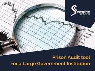 Prison Audit tool
for a Large Government Institution
 