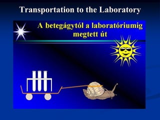 Transportation to the Laboratory
 
