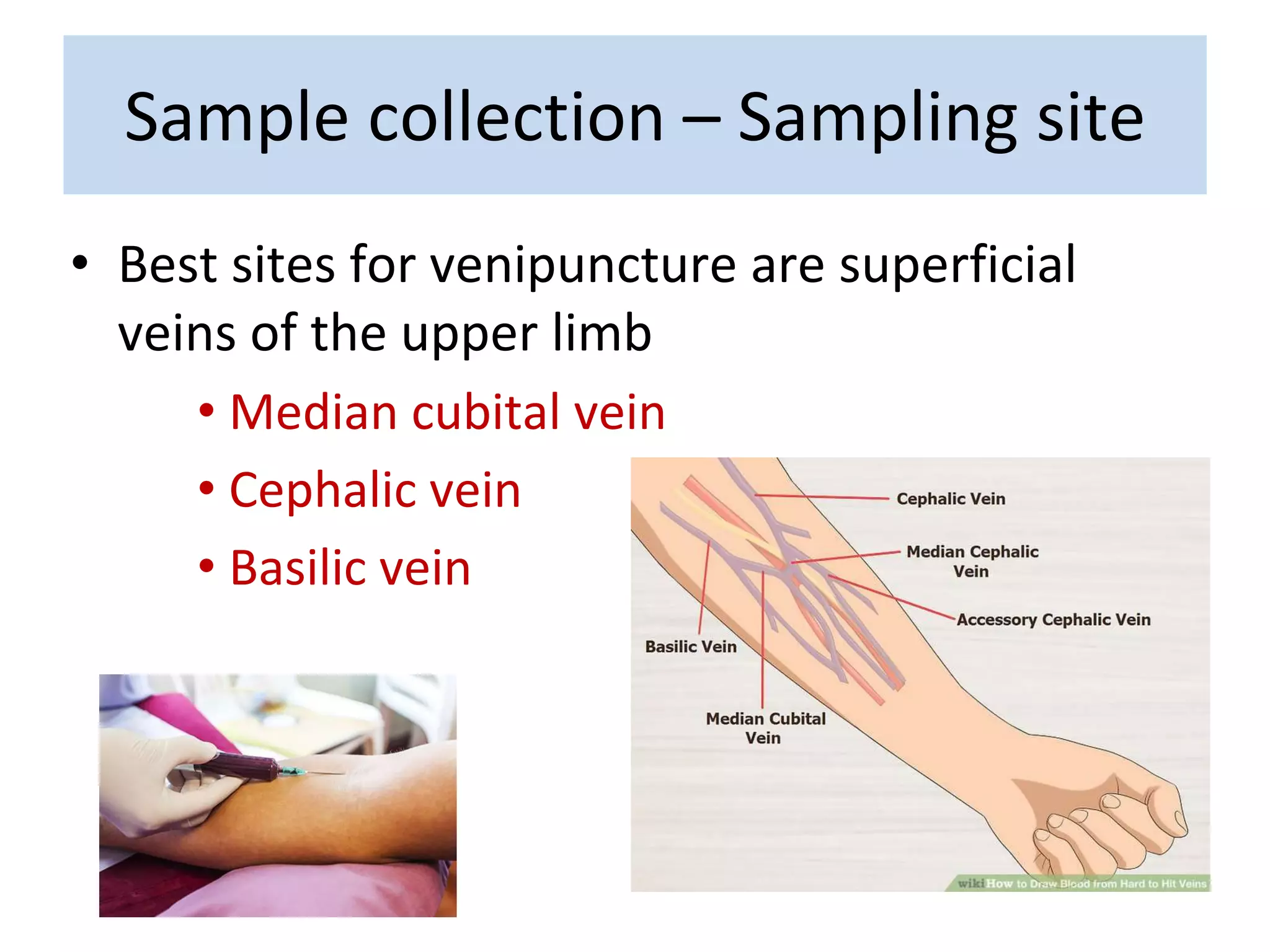 • Best sites for venipuncture are superficial
veins of the upper limb
• Median cubital vein
• Cephalic vein
• Basilic vein
Sample collection – Sampling site
 